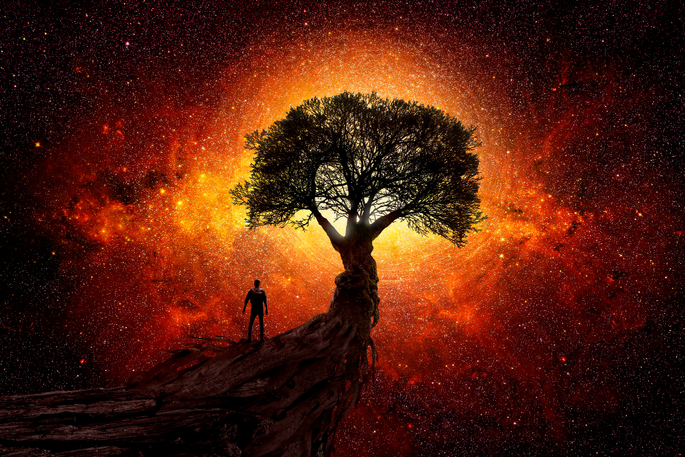 man tree front universe